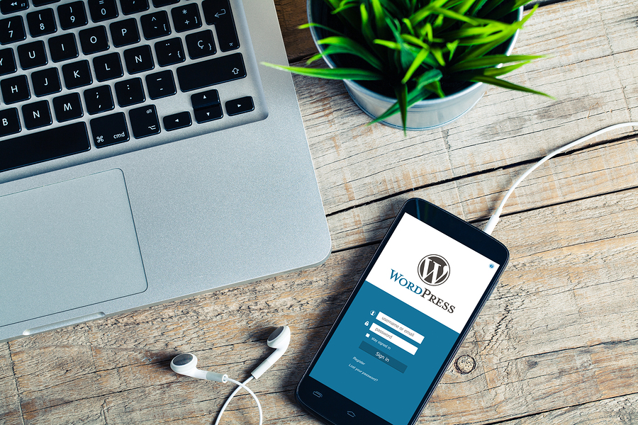 Wordpress Plugins